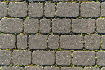 rounded grey cobblestones with moss vegetation in the interspaces as texture background