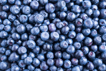 Fresh blueberry background. Texture blueberry berries close up. Ripe bilberry background. Texture bilberry berries close up. Top view. Berry background. Blueberries picked in forest.