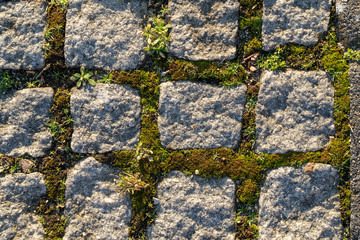 granite cobblestones with moss growth in the interspaces close-up