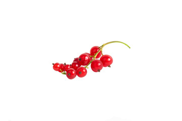 A branch of fresh red currants on a white isolated background