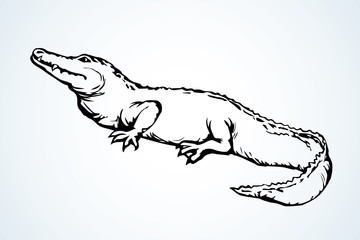 Crocodile. Vector drawing icon sign