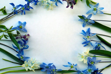 The frame is lined with dark blue flowers of primroses and light blue primroses with green leaves on a blue background. Copy space