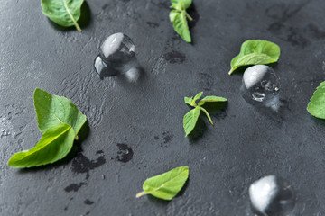 fragrant mint leaves with ice pieces on black background,