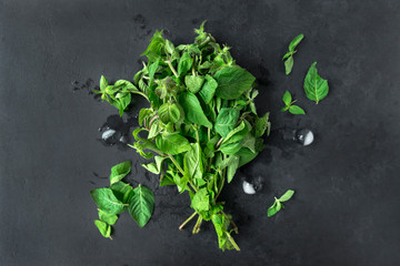 bunch of fresh mint branches on a black background, pieces of ice