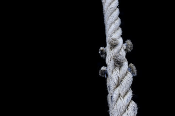 rope with knot on black background