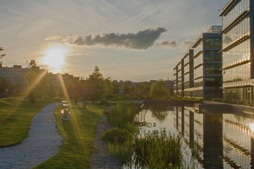 reflection of office buildings in water