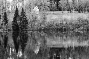 Lake and nature, Auvergne, France.