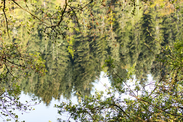 Fototapeta premium Spring and nature, Auvergne, France.