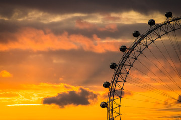 London Eye at Sunset - obrazy, fototapety, plakaty