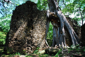 Gedi Ruins, Kenya