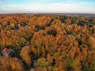 Obraz premium Beautiful orange and red autumn forest, many trees on the orange hills with villas. Belgium, Walloon Brabant. 