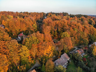 Obraz premium Beautiful orange and red autumn forest, many trees on the orange hills with villas. Belgium, Walloon Brabant. 