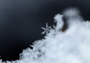 snowflake, little snowflake on the snow