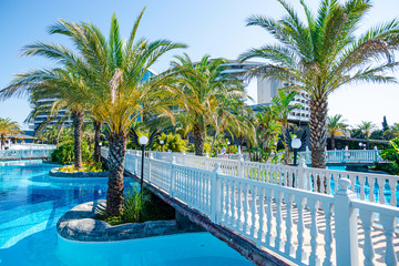 Exotic landscape