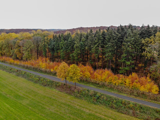 Naklejka premium Aerial view of forest with small road during autumn season and colors in the countryside of Walloon Brabant. Belgium