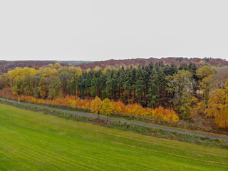 Naklejka premium Aerial view of forest with small road during autumn season and colors in the countryside of Walloon Brabant. Belgium