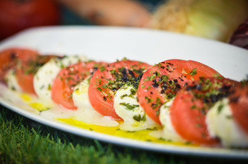fresh italian starters dish - lasagna, fresh pasta, caprese salad 