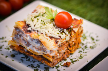 fresh italian starters dish - lasagna, fresh pasta, caprese salad 