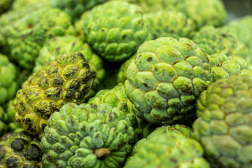 Fototapeta premium Close view of several Pinhia fruit. Fresh fruit from the northeast of brazil. green on the outside and white on the inside.