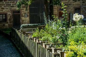 Heilkräuter anbauen im Kräutergarten