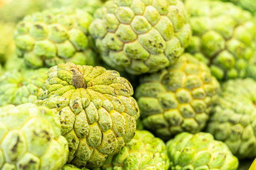 Close view of several Pinhia fruit. Fresh fruit from the northeast of brazil. green on the outside and white on the inside.