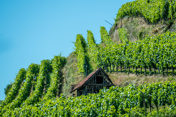 Weinbergshäusschen