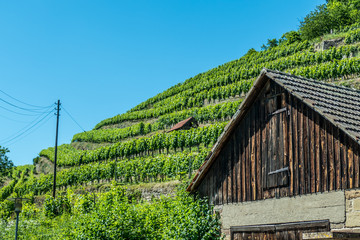 Weinbergshäusschen