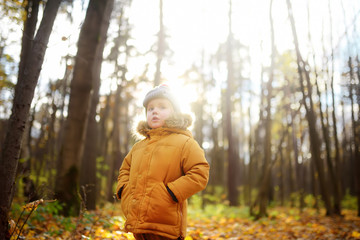 Little boy during stroll in the forest at cold sunny autumn day