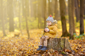 Little child walking in the forest and drinking hot cocoa at cold autumn day