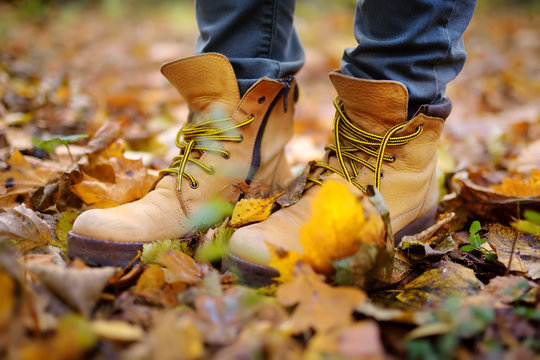 Close up photo of woman's legs in boots on background of a golden maple leaves.
