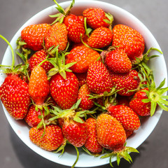 A white bowl of freshly picked strawberries from the garden. 