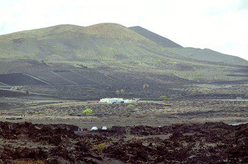 Vineyard on black volcanic soil in Lanzarote, La Geria. Canary Islands, Spain