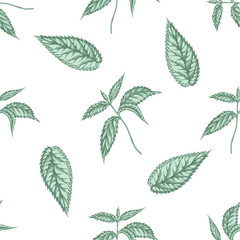 Seamless pattern with hand drawn pastel nettle