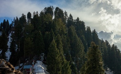 Fototapeta na wymiar Malamjabba skiing resort snow mountains and pine trees