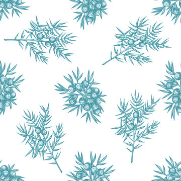Seamless pattern with hand drawn pastel juniper