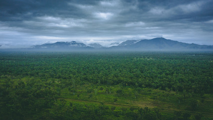 Fototapeta premium Townsville Landscape