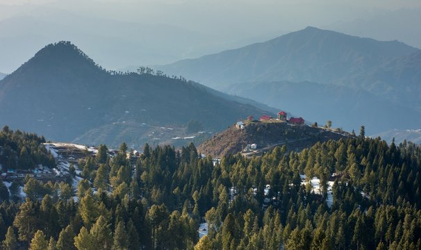 Malamjabba skiing resort snow mountains and pine trees