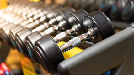 Dumbbell used to exercise in the training center