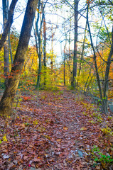 Fall Park in Virginia USA