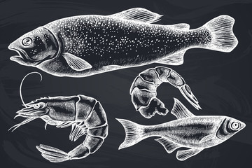 Vector set of hand drawn chalk fish, shrimp - obrazy, fototapety, plakaty