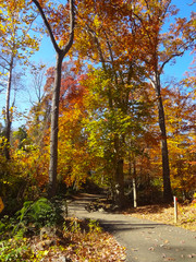 Fall Park in Virginia USA 