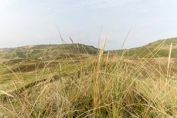Paysage dune