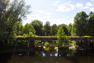 Obraz premium Old ruined bridge overgrown with moss on a Sunny summer day
