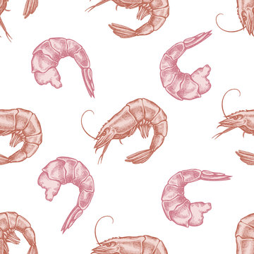 Seamless pattern with hand drawn pastel shrimp