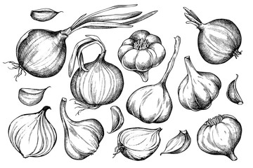 Vector set of hand drawn black and white onion, garlic