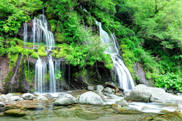 Naklejka premium 新緑の吐竜の滝