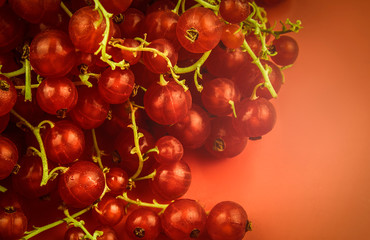 Red currants from the fridge with condensate droplets. Fresh berry. Chilled fruits. Red background, free space, pattern.