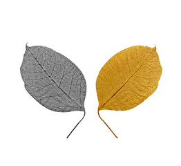Silver and gold leaves