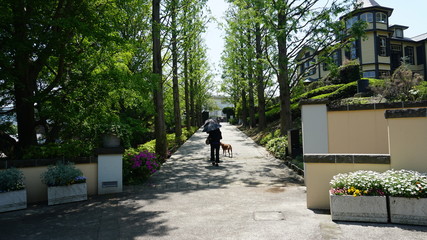 横浜洋館めぐり
