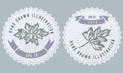 Monochrome labels design with illustration of greenery